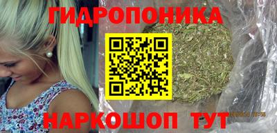 ГАЛЛЮЦИНОГЕННЫЕ ГРИБЫ Тулун