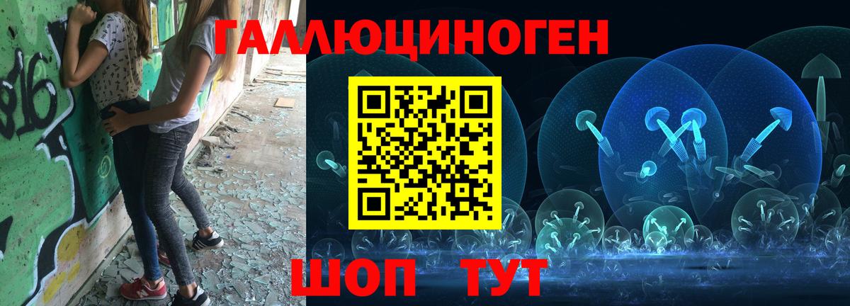 Псилоцибиновые грибы Cubensis Назрань