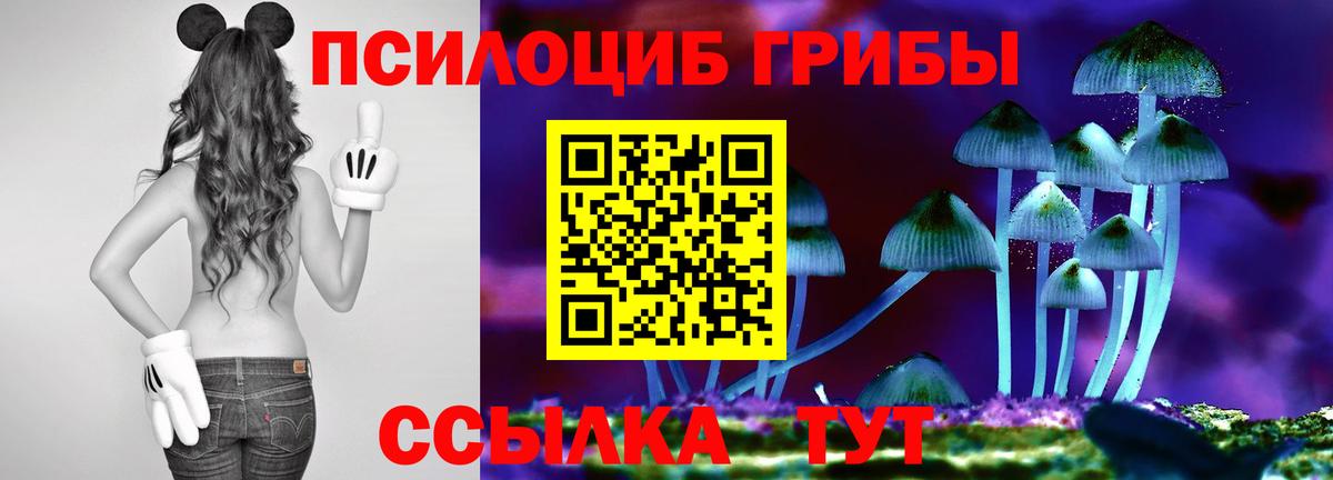 Назрань  Галлюциногенные грибы прущие грибы  Вход с VPN 